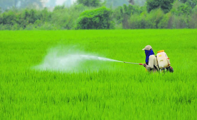 Super Crop Safe Limited Expands Portfolio with 46 New Molecule Registrations, Plans for Further Growth in Agrochemical Sector