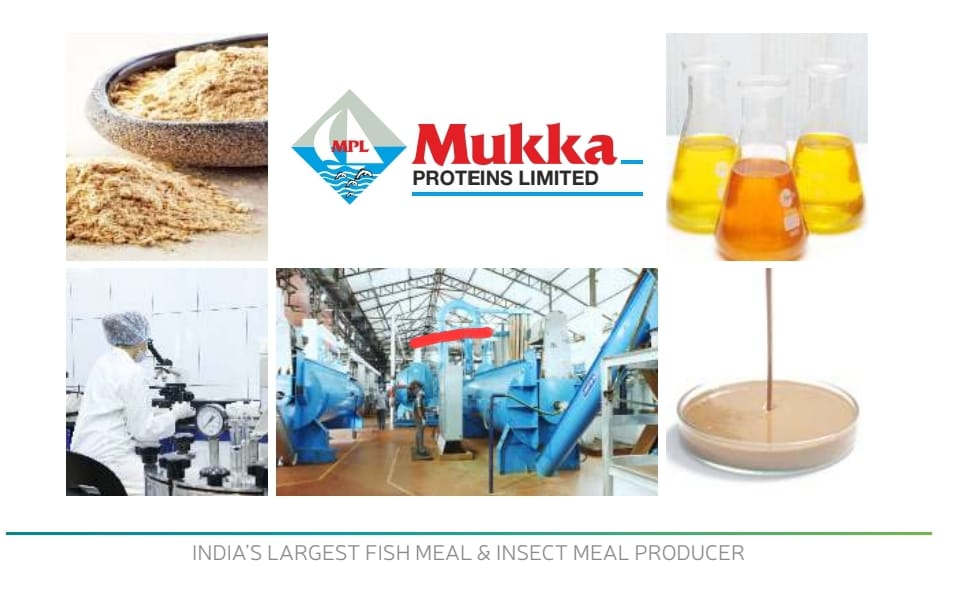 Mukka Proteins Limited Announces ₹98 Crore Preferential Issue for Acquisition and Expansion