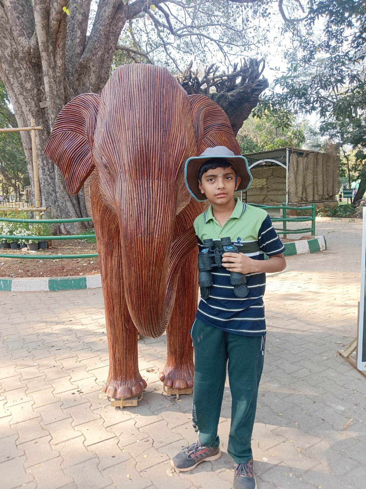 The Incredible Journey of Vignesh Arunkumar: A Young Prodigy’s Path to Excellence